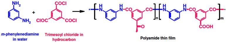 https://cdn.ncbi.nlm.nih.gov/pmc/blobs/60cd/7663180/b1008df883fb/molecules-25-04934-sch001.jpg