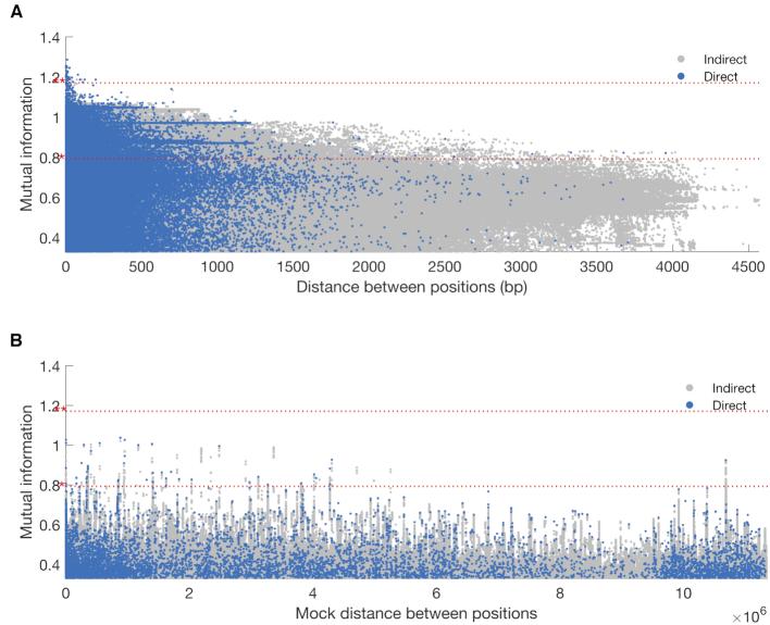 https://cdn.ncbi.nlm.nih.gov/pmc/blobs/60d0/6765119/56034154dfab/gkz656fig6.jpg