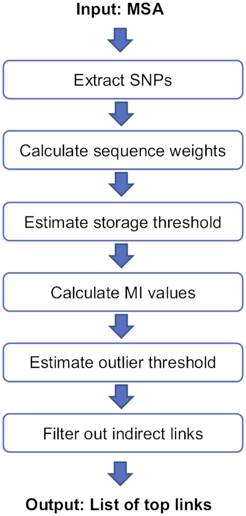 https://cdn.ncbi.nlm.nih.gov/pmc/blobs/60d0/6765119/7e7fbb9a4137/gkz656fig1.jpg