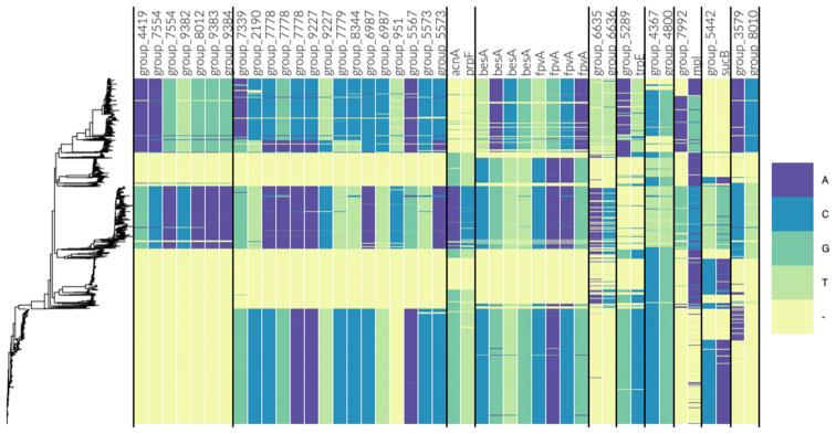https://cdn.ncbi.nlm.nih.gov/pmc/blobs/60d0/6765119/c11591138fd6/gkz656fig7.jpg