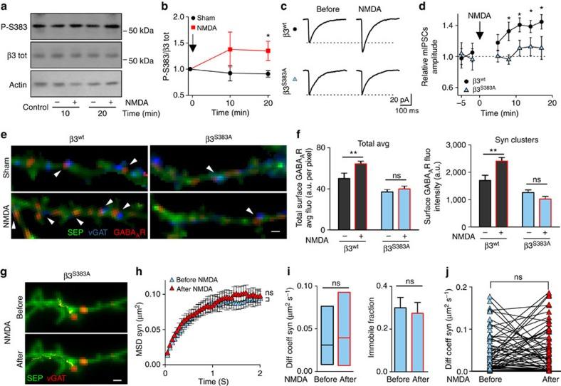 https://cdn.ncbi.nlm.nih.gov/pmc/blobs/60d1/4059940/3ac3734d5b92/ncomms4921-f3.jpg