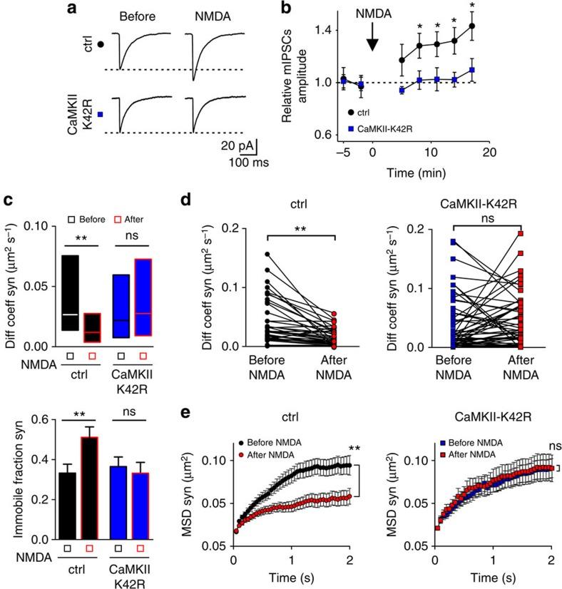 https://cdn.ncbi.nlm.nih.gov/pmc/blobs/60d1/4059940/85ba926680ae/ncomms4921-f2.jpg