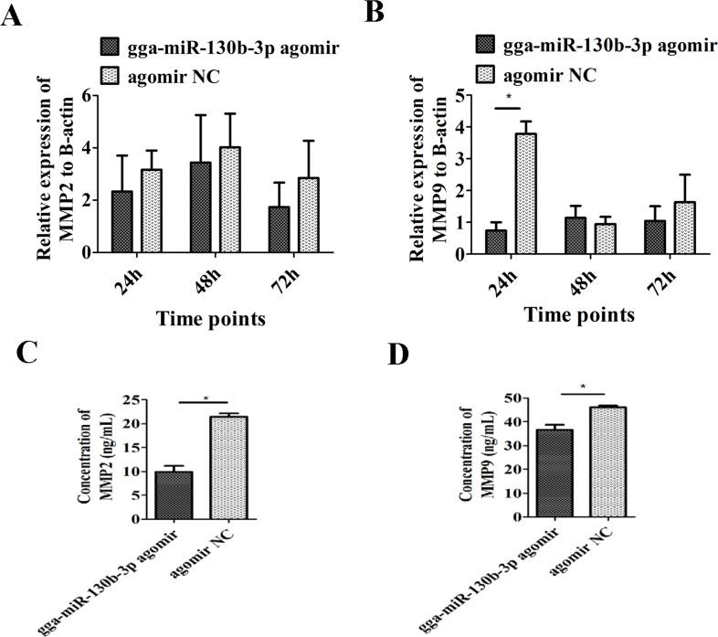 https://cdn.ncbi.nlm.nih.gov/pmc/blobs/60d1/5966247/37fe46e9b18f/oncotarget-09-24187-g005.jpg