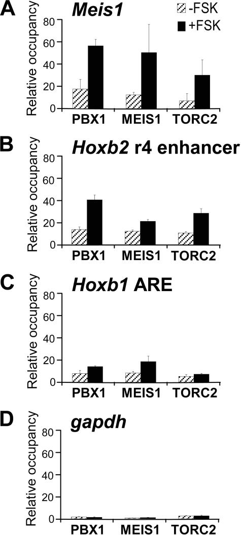 https://cdn.ncbi.nlm.nih.gov/pmc/blobs/60d2/2707216/f73897a5968c/zbc0340982860006.jpg