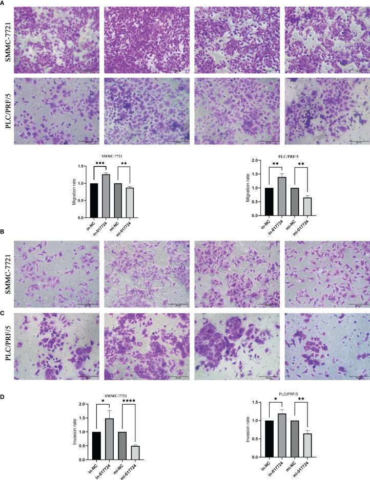 https://cdn.ncbi.nlm.nih.gov/pmc/blobs/60d4/10369847/e2ff66e88b62/fonc-13-1203821-g004.jpg