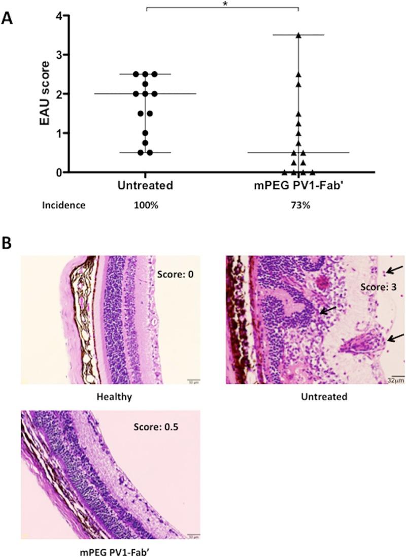 https://cdn.ncbi.nlm.nih.gov/pmc/blobs/60d5/5331984/7c51a6ce6732/pone.0171822.g001.jpg