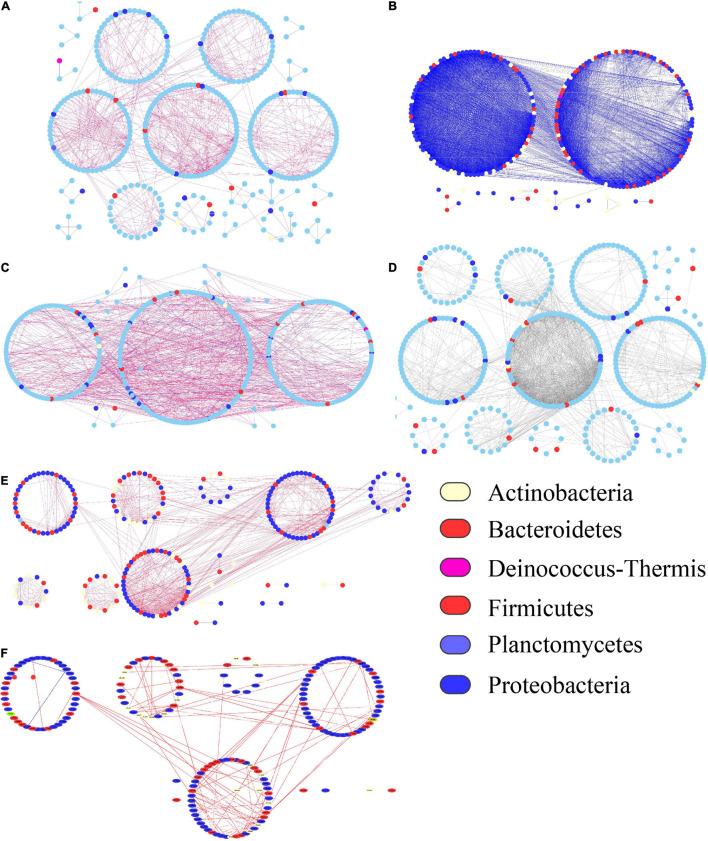 https://cdn.ncbi.nlm.nih.gov/pmc/blobs/60d5/8555416/8099a17796a5/fmicb-12-731764-g006.jpg