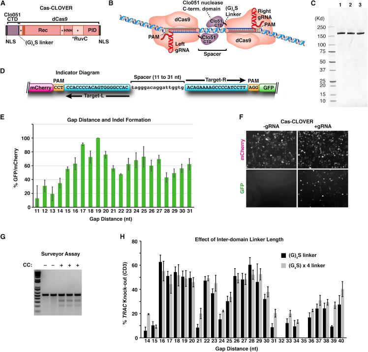 https://cdn.ncbi.nlm.nih.gov/pmc/blobs/60d5/9481872/1c23befc3d2a/gr1.jpg