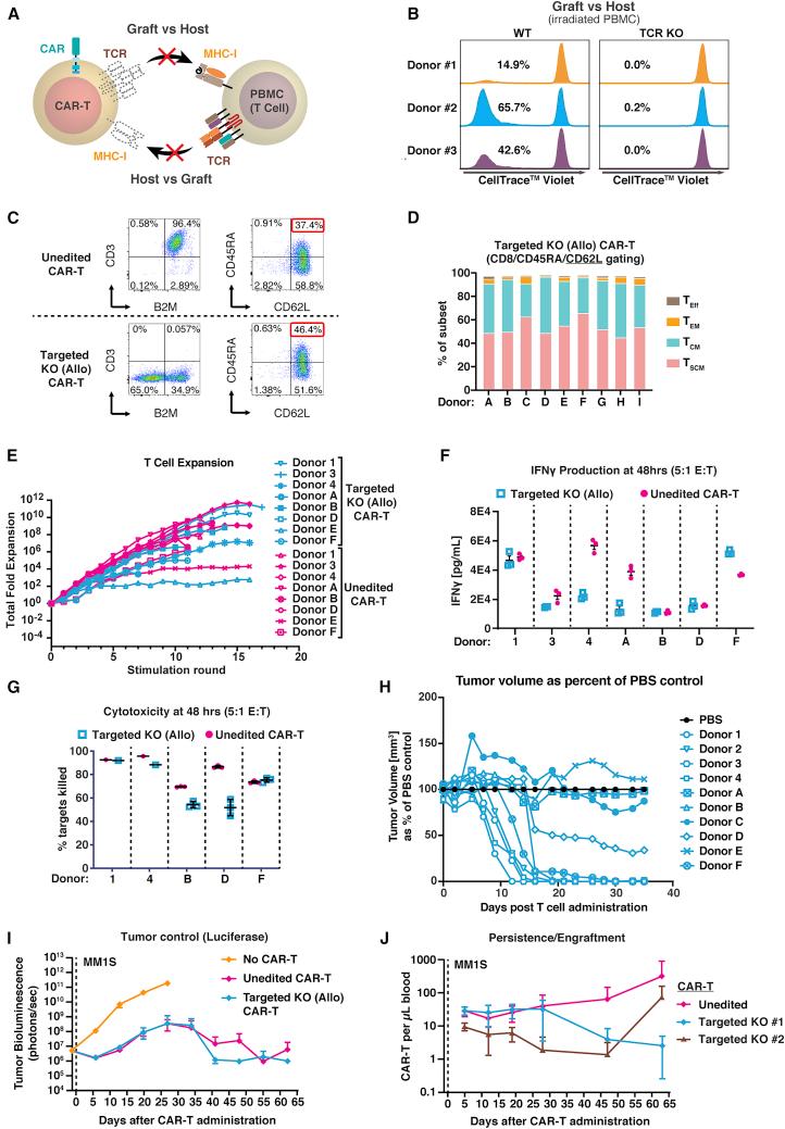 https://cdn.ncbi.nlm.nih.gov/pmc/blobs/60d5/9481872/bafcc5f5d5d3/gr5.jpg