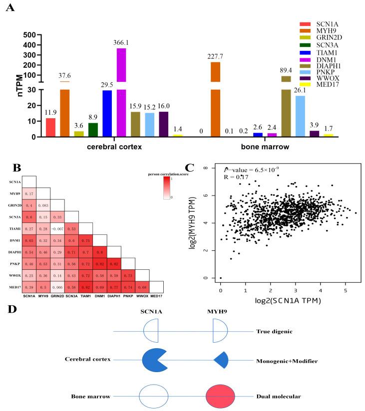 https://cdn.ncbi.nlm.nih.gov/pmc/blobs/60d7/11353731/1d8e9adab0db/genes-15-01004-g003.jpg