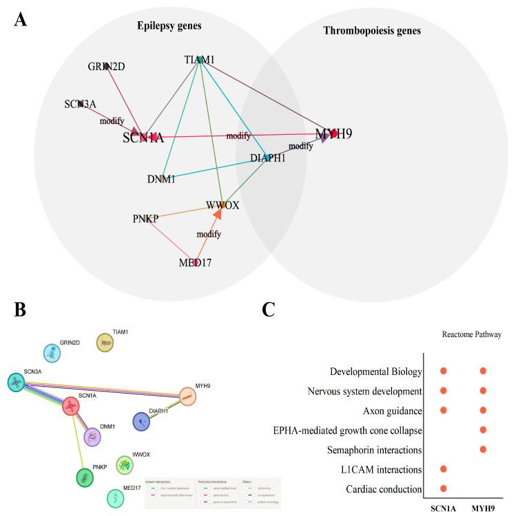 https://cdn.ncbi.nlm.nih.gov/pmc/blobs/60d7/11353731/d4323716f5f7/genes-15-01004-g002.jpg