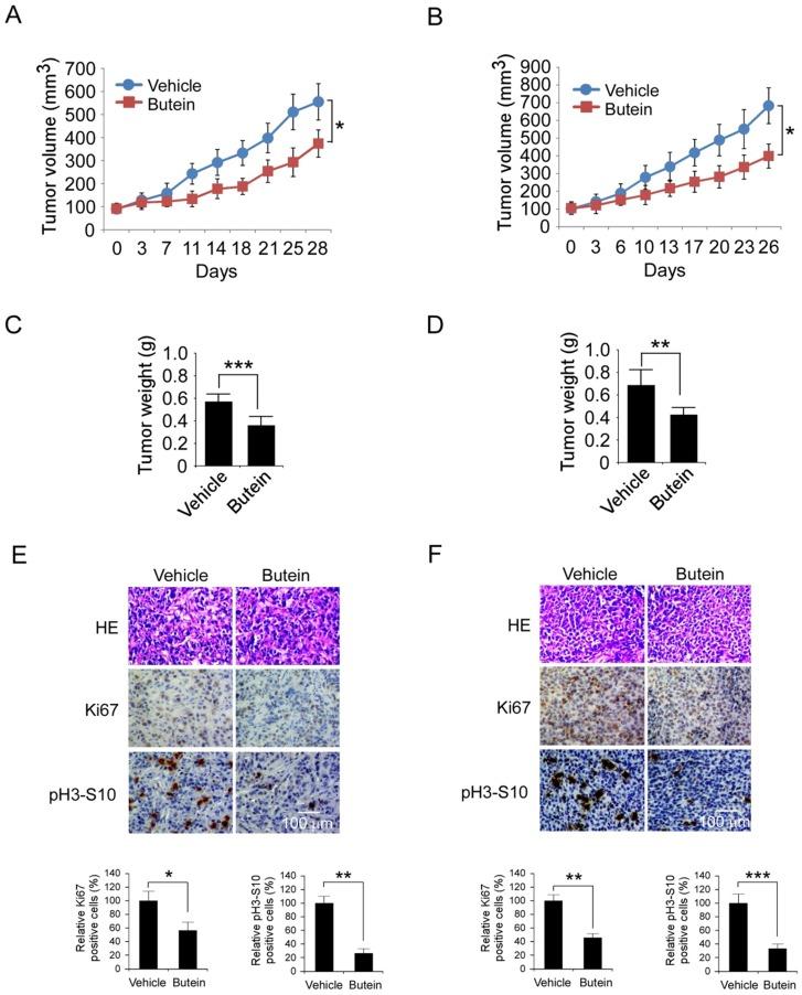 https://cdn.ncbi.nlm.nih.gov/pmc/blobs/60d7/6158728/4041a66269b1/ijbsv14p1521g007.jpg