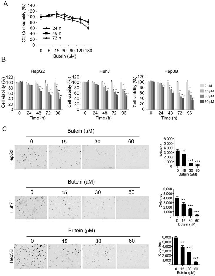 https://cdn.ncbi.nlm.nih.gov/pmc/blobs/60d7/6158728/497fb46b870c/ijbsv14p1521g004.jpg