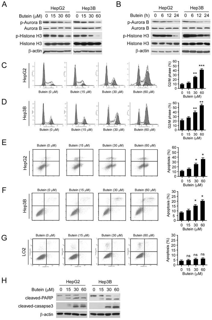 https://cdn.ncbi.nlm.nih.gov/pmc/blobs/60d7/6158728/e48f47396e75/ijbsv14p1521g005.jpg