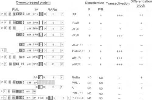 https://cdn.ncbi.nlm.nih.gov/pmc/blobs/60d8/452232/7cec197bed36/emboj00018-0170-a.jpg