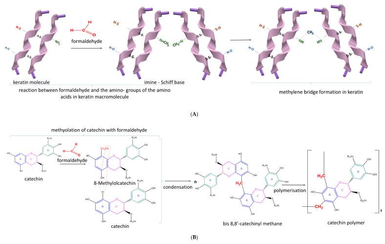 https://cdn.ncbi.nlm.nih.gov/pmc/blobs/60d8/7761086/86f4ee787b5a/antioxidants-09-01180-g003a.jpg