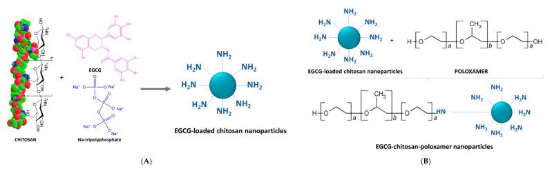 https://cdn.ncbi.nlm.nih.gov/pmc/blobs/60d8/7761086/a05fcc1620ac/antioxidants-09-01180-g004a.jpg