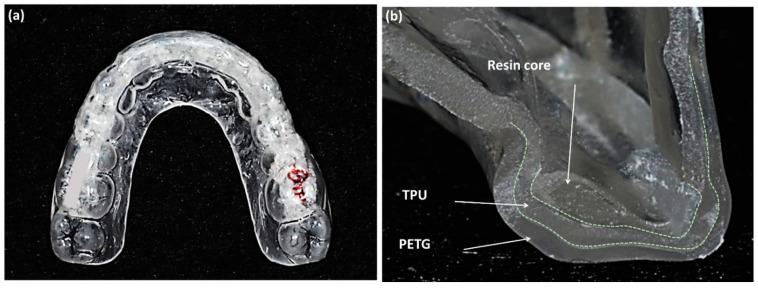 https://cdn.ncbi.nlm.nih.gov/pmc/blobs/60d8/7828563/c5f734c2153a/sensors-21-00541-g001.jpg