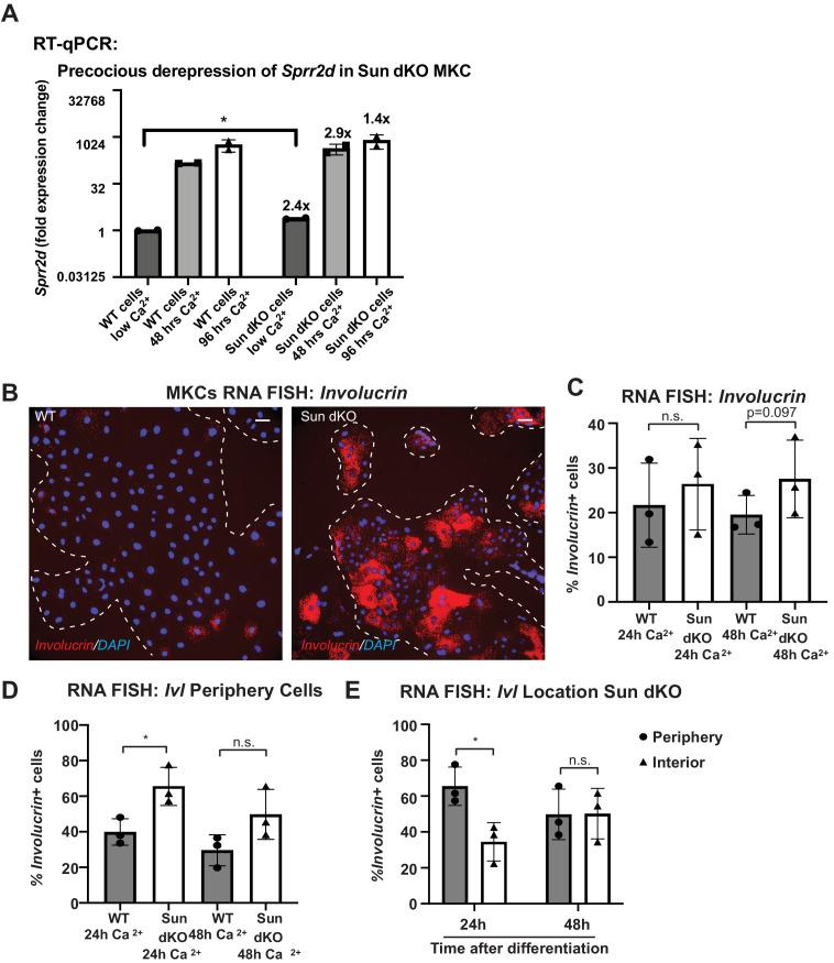 https://cdn.ncbi.nlm.nih.gov/pmc/blobs/60d8/8051949/02c6c798781a/elife-58541-fig4-figsupp1.jpg