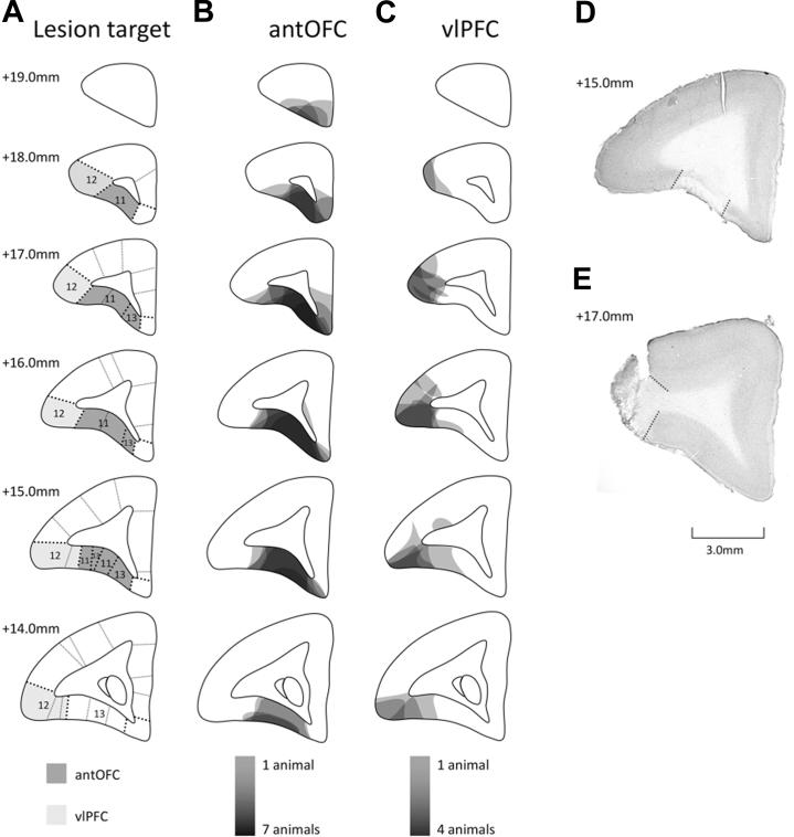 https://cdn.ncbi.nlm.nih.gov/pmc/blobs/60db/5697497/cd5cb6632154/gr2.jpg