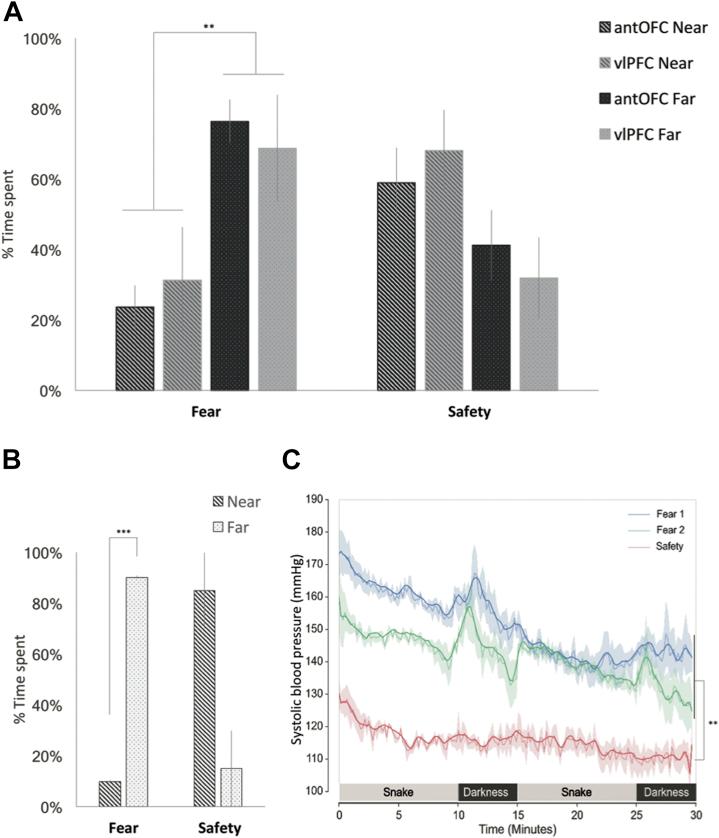 https://cdn.ncbi.nlm.nih.gov/pmc/blobs/60db/5697497/f24099b1b0c5/gr3.jpg