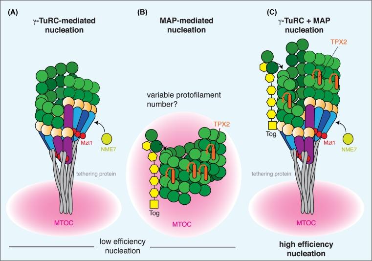 https://cdn.ncbi.nlm.nih.gov/pmc/blobs/60db/6281477/09cb91bd854b/ebc-62-ebc20180028-g4.jpg