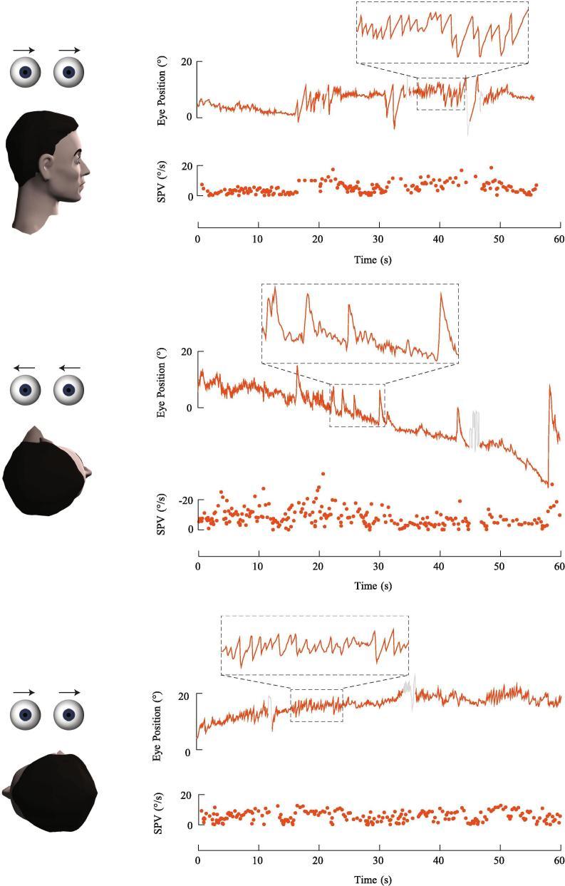 https://cdn.ncbi.nlm.nih.gov/pmc/blobs/60dd/6542326/fac1ec143069/gr7.jpg