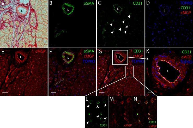 https://cdn.ncbi.nlm.nih.gov/pmc/blobs/60df/5846787/0e4d85ee5b4f/pone.0193967.g006.jpg