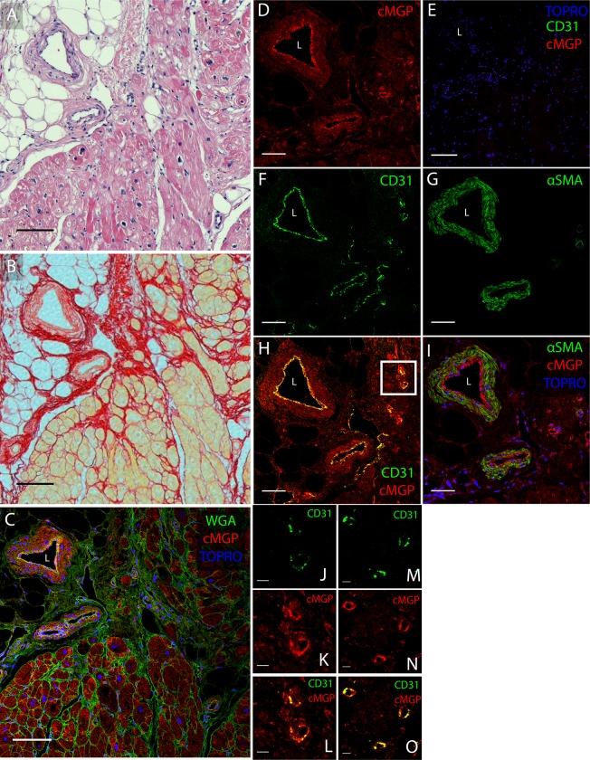https://cdn.ncbi.nlm.nih.gov/pmc/blobs/60df/5846787/9fef597d5e5b/pone.0193967.g005.jpg