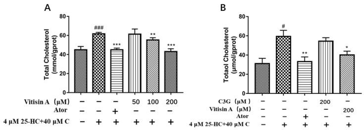 https://cdn.ncbi.nlm.nih.gov/pmc/blobs/60e0/9961218/6ebc12d50f46/ijms-24-03301-g004.jpg