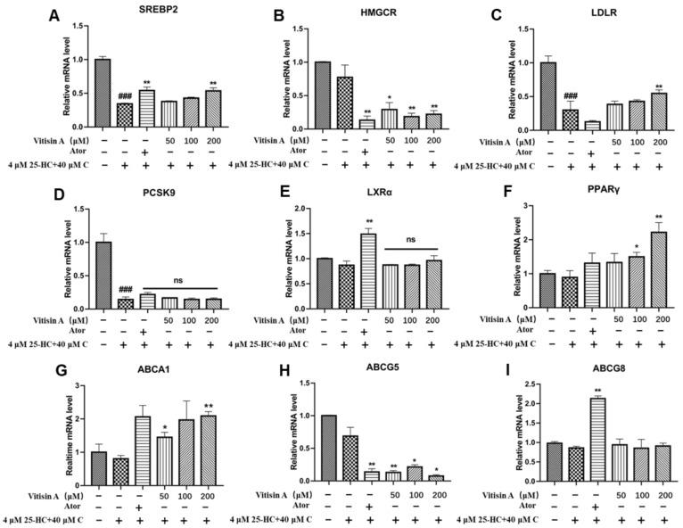 https://cdn.ncbi.nlm.nih.gov/pmc/blobs/60e0/9961218/b18908962ef3/ijms-24-03301-g005.jpg