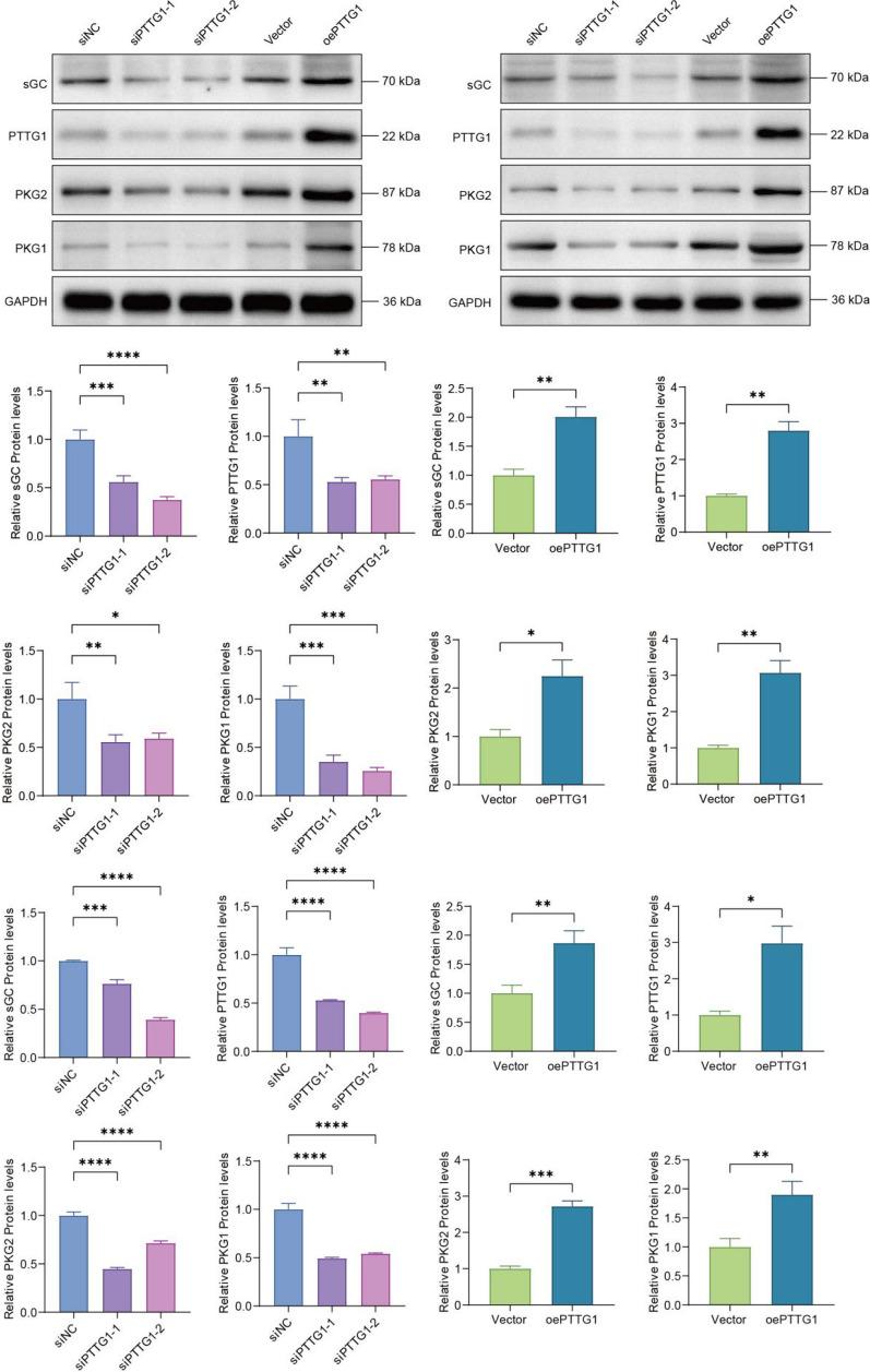 https://cdn.ncbi.nlm.nih.gov/pmc/blobs/60e1/12069767/53dbc0ce462e/12672_2025_2512_Fig4_HTML.jpg