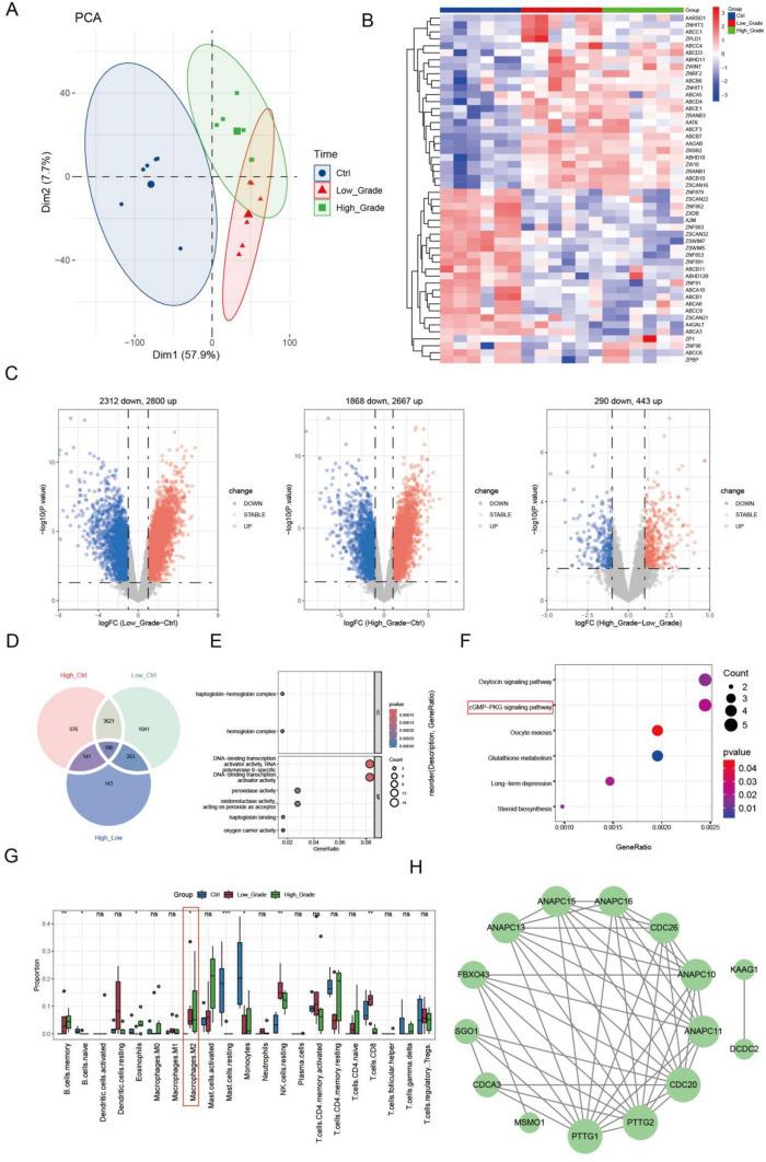 https://cdn.ncbi.nlm.nih.gov/pmc/blobs/60e1/12069767/61d28010a169/12672_2025_2512_Fig1_HTML.jpg