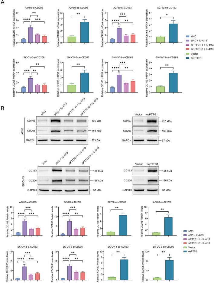 https://cdn.ncbi.nlm.nih.gov/pmc/blobs/60e1/12069767/a103dd7eb7ac/12672_2025_2512_Fig6_HTML.jpg