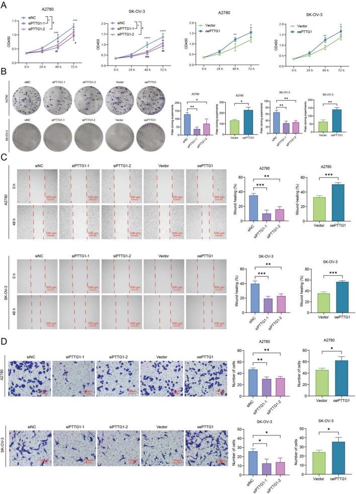 https://cdn.ncbi.nlm.nih.gov/pmc/blobs/60e1/12069767/abb12afe2d5b/12672_2025_2512_Fig3_HTML.jpg