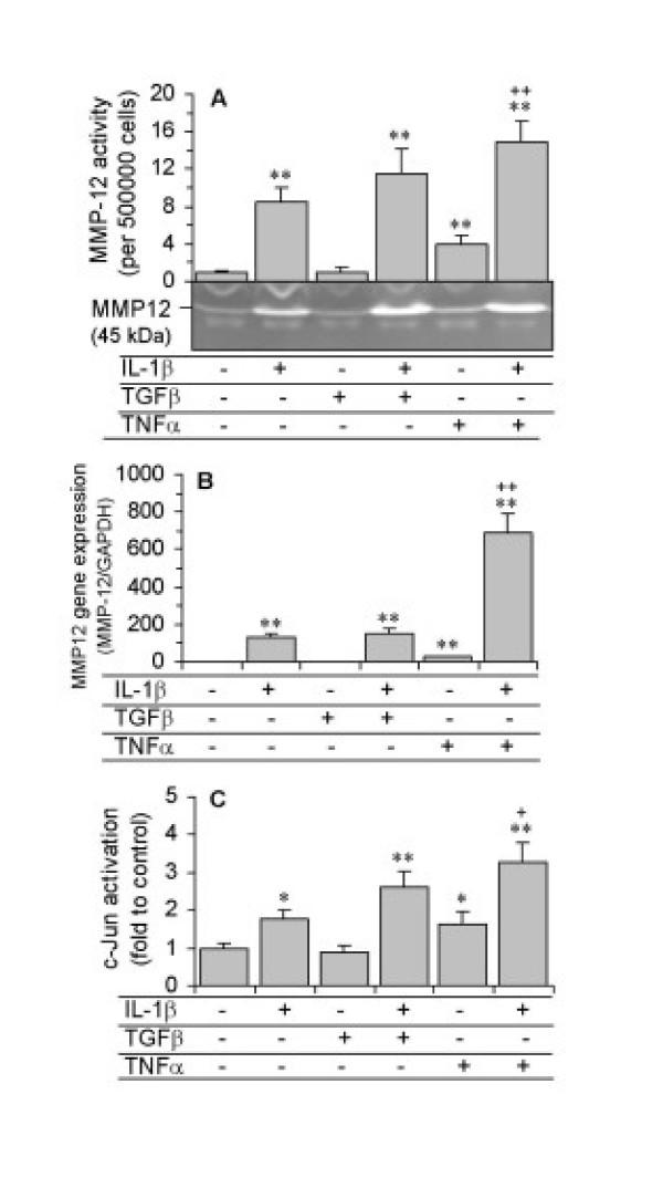 https://cdn.ncbi.nlm.nih.gov/pmc/blobs/60e3/1363355/c8522ee29272/1465-9921-6-148-8.jpg