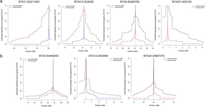 https://cdn.ncbi.nlm.nih.gov/pmc/blobs/60e5/6724290/2313b1acb4d6/12864_2019_6066_Fig3_HTML.jpg