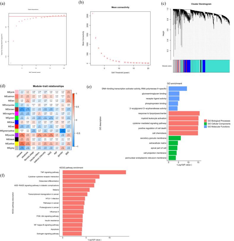 https://cdn.ncbi.nlm.nih.gov/pmc/blobs/60e5/8130015/6f8a825f12a8/j_med-2021-0286-fig002.jpg