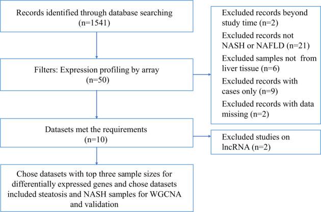 https://cdn.ncbi.nlm.nih.gov/pmc/blobs/60e5/8130015/ff9dfaef33c2/j_med-2021-0286-fig006.jpg