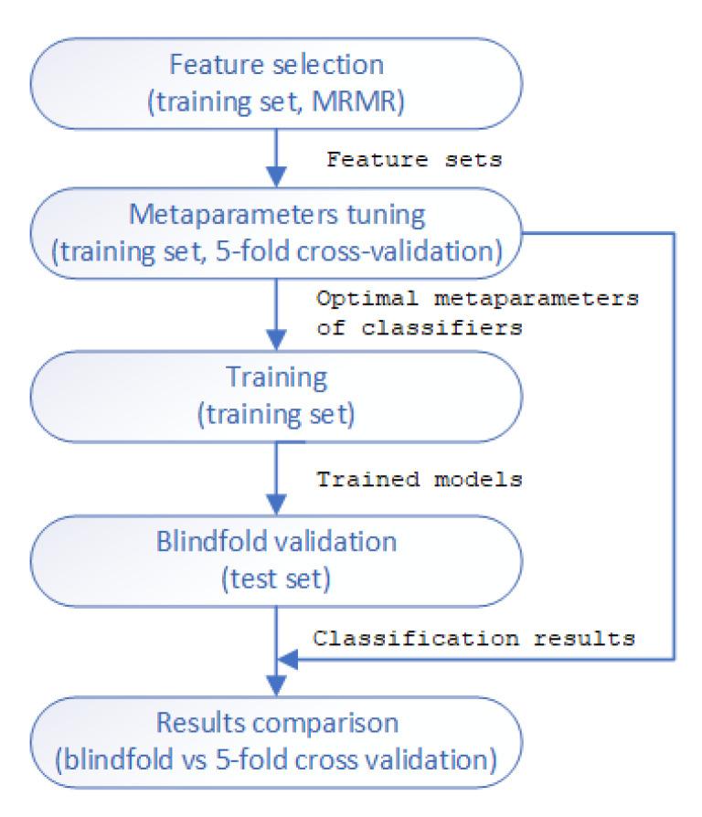 https://cdn.ncbi.nlm.nih.gov/pmc/blobs/60e6/9318370/232e9bed39c2/jcm-11-04004-g004.jpg