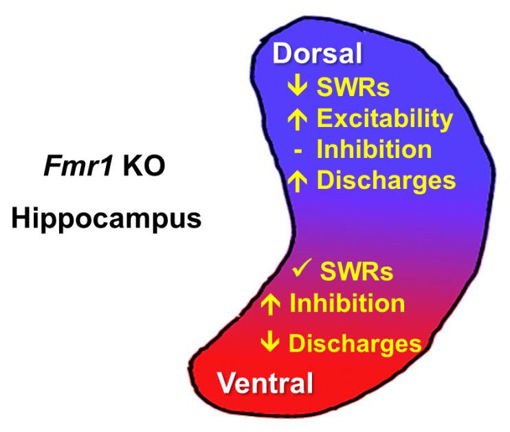 https://cdn.ncbi.nlm.nih.gov/pmc/blobs/60e7/12025323/629fcdedd96a/biology-14-00363-g002.jpg