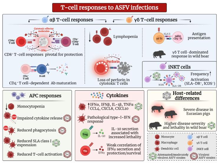 https://cdn.ncbi.nlm.nih.gov/pmc/blobs/60e7/8878497/ba8067f27b72/pathogens-11-00274-g001.jpg
