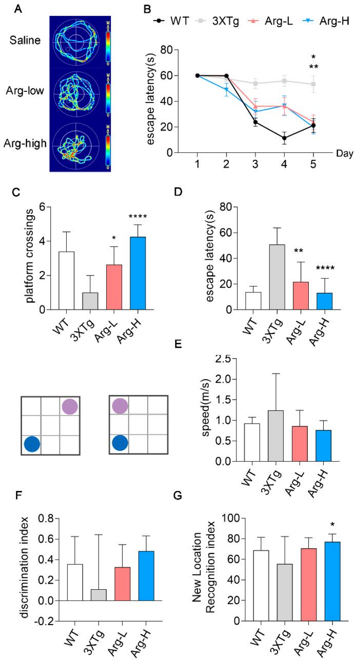 https://cdn.ncbi.nlm.nih.gov/pmc/blobs/60e7/9655994/70cc83e135f6/cells-11-03520-g005.jpg