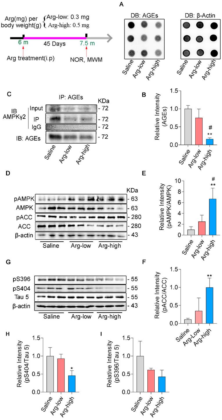 https://cdn.ncbi.nlm.nih.gov/pmc/blobs/60e7/9655994/8586eb624cd1/cells-11-03520-g004.jpg