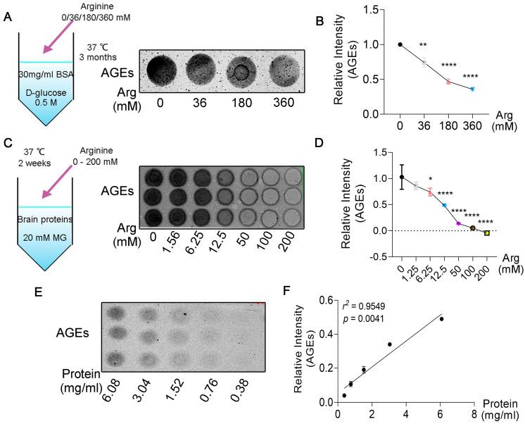https://cdn.ncbi.nlm.nih.gov/pmc/blobs/60e7/9655994/b1aa3ad4a00f/cells-11-03520-g002.jpg