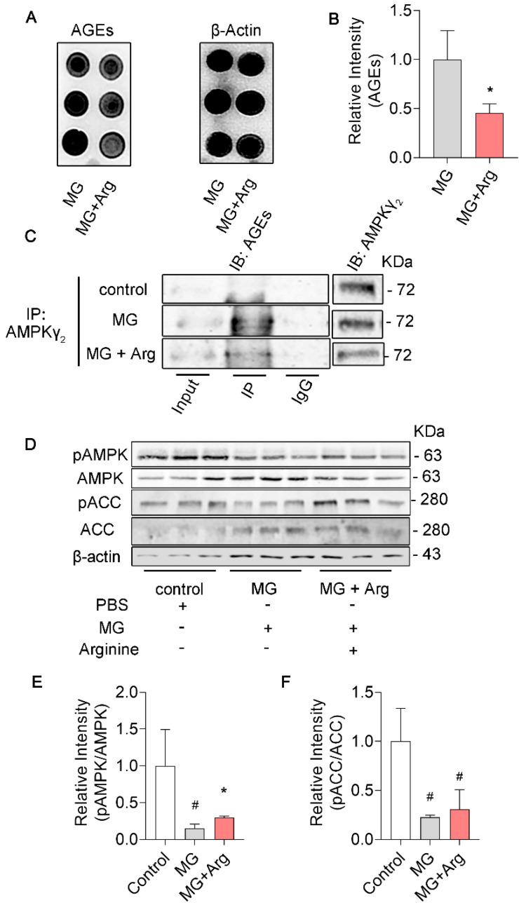 https://cdn.ncbi.nlm.nih.gov/pmc/blobs/60e7/9655994/c1e14113d33c/cells-11-03520-g003.jpg