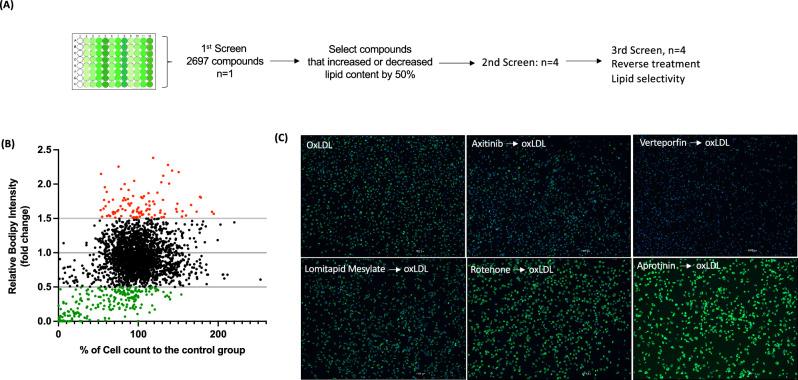 https://cdn.ncbi.nlm.nih.gov/pmc/blobs/60e9/10638409/9960162584b3/41598_2023_46467_Fig2_HTML.jpg