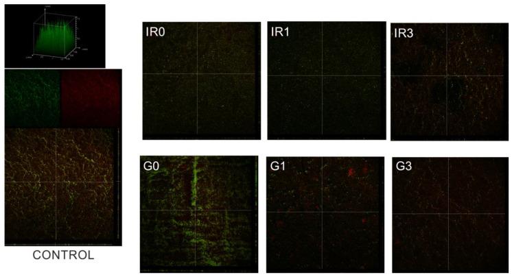 https://cdn.ncbi.nlm.nih.gov/pmc/blobs/60ea/9570054/55912c878de8/ijms-23-12027-g012.jpg