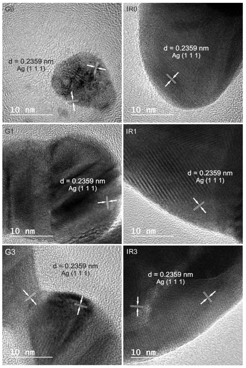 https://cdn.ncbi.nlm.nih.gov/pmc/blobs/60ea/9570054/6870fa521789/ijms-23-12027-g004.jpg