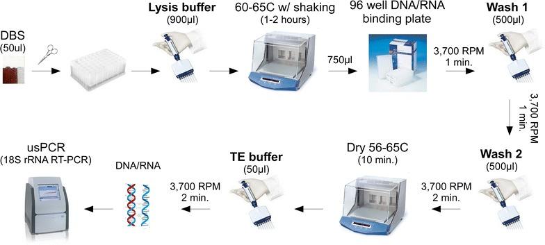 https://cdn.ncbi.nlm.nih.gov/pmc/blobs/60eb/5604154/f247ecf80258/12936_2017_2025_Fig1_HTML.jpg